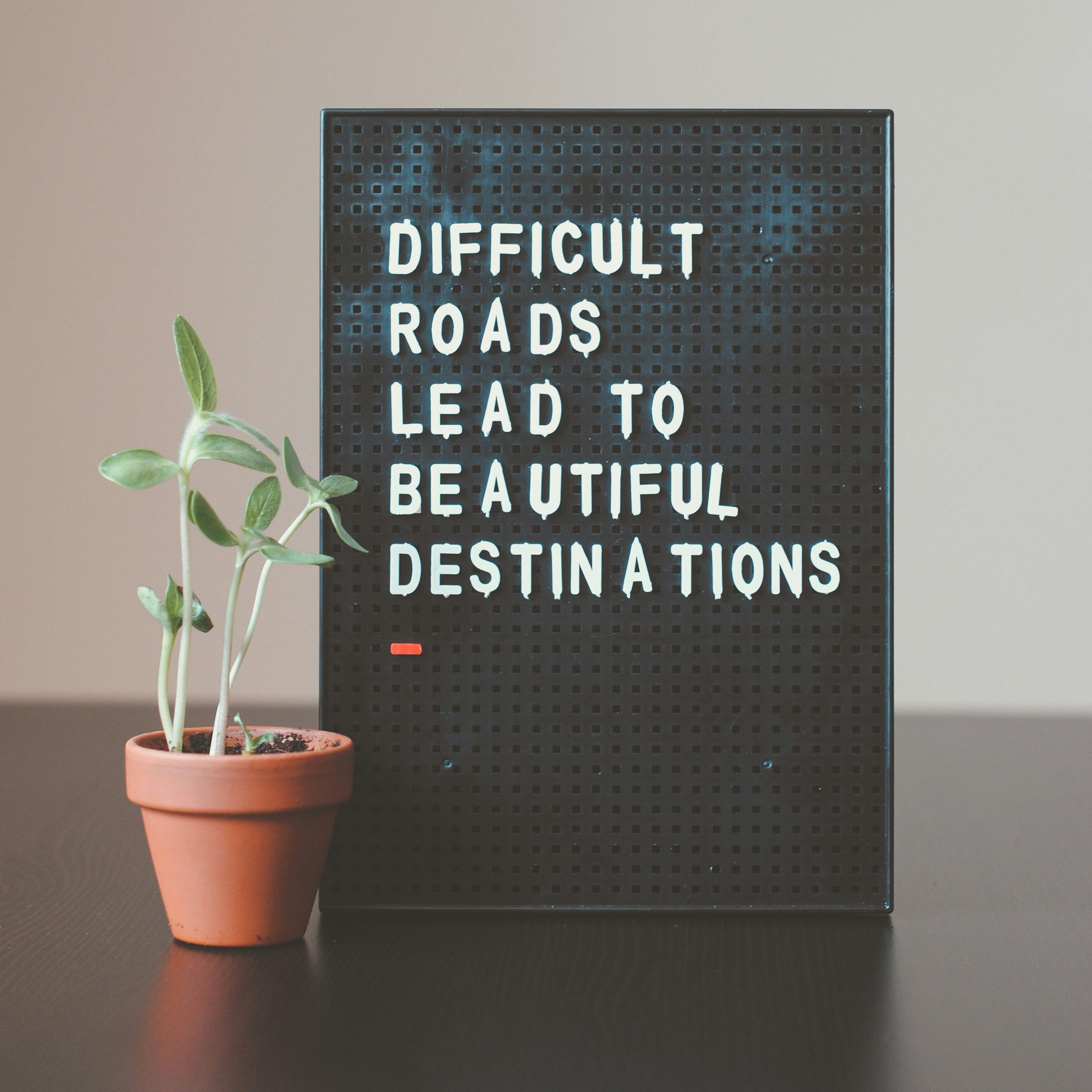 Quote: Difficult roads lead to beautifull destinations